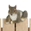 Summerfield Terrace Climbing Cuties - Chip the Squirrel -Bella-Vita || Summerfield Terrace Shop Belk 1010