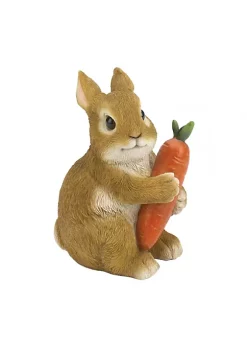 Summerfield Terrace Rabbit Hugging Carrot Garden Figurine -Bella-Vita || Summerfield Terrace Shop Belk 1141