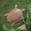 Summerfield Terrace Cast Iron Turtle Stepping Stone -Bella-Vita || Summerfield Terrace Shop Belk 1450