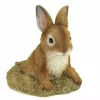 Summerfield Terrace Stone-Look Bunny Garden Sculpture 1 Summerfield Terrace Stone-Look Bunny Garden Sculpture -Bella-Vita || Summerfield Terrace Shop Belk 1532