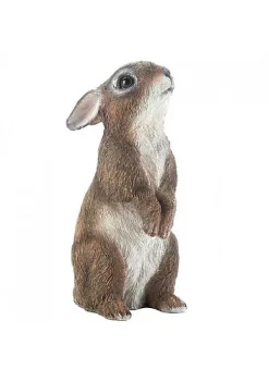 Summerfield Terrace Standing Bunny Garden Decor -Bella-Vita || Summerfield Terrace Shop Belk 1552